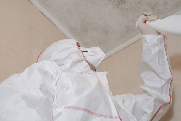 Best DIY Mold Remediation Support Services in Portage, IN